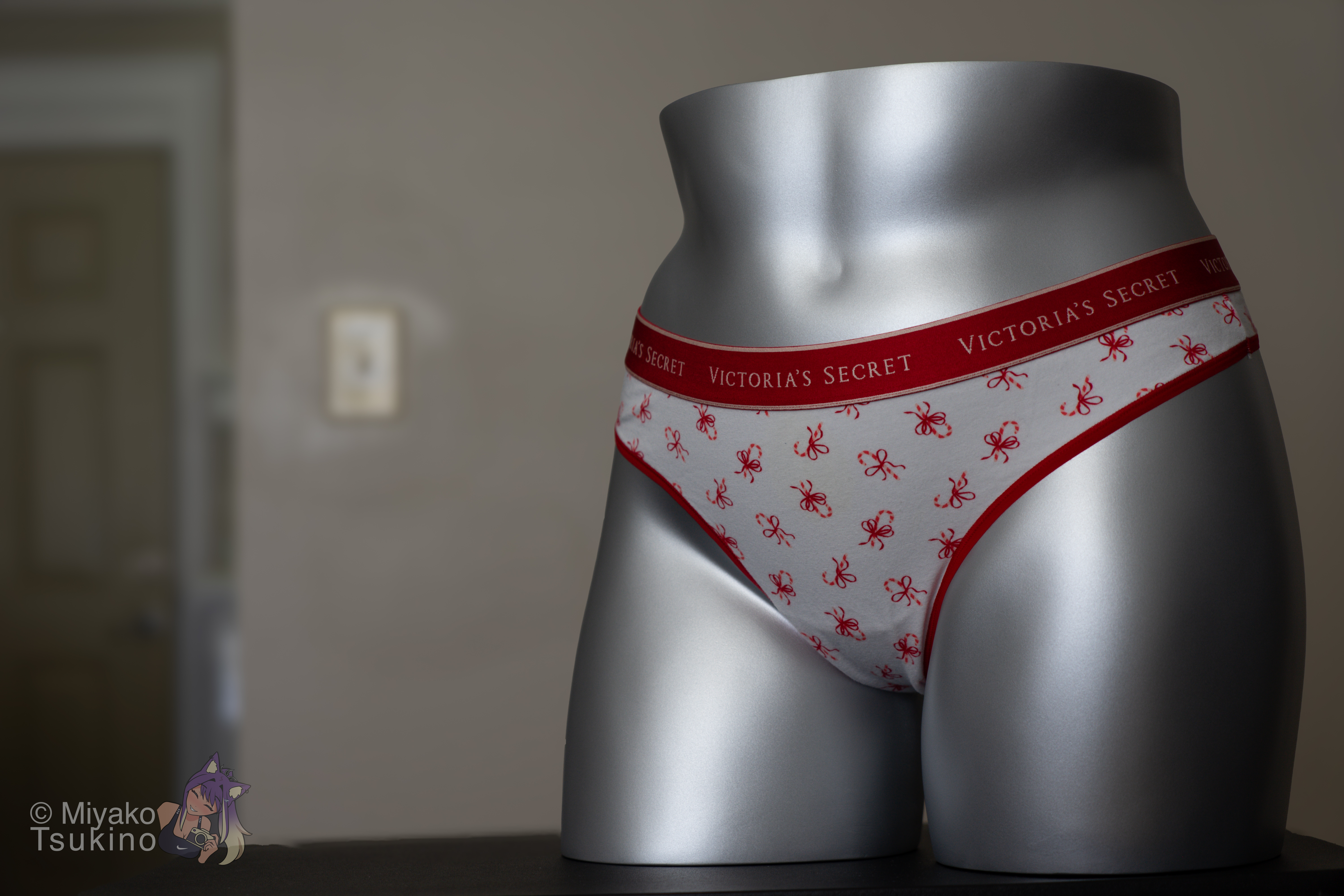 Panty 1